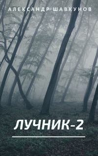 Обложка книги «Лучник 2»