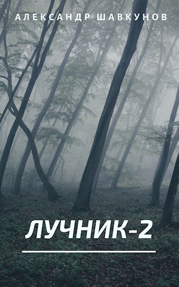 Обложка книги «Лучник 2»