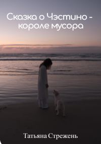 Обложка книги «Сказка о Чэстино – короле мусора»
