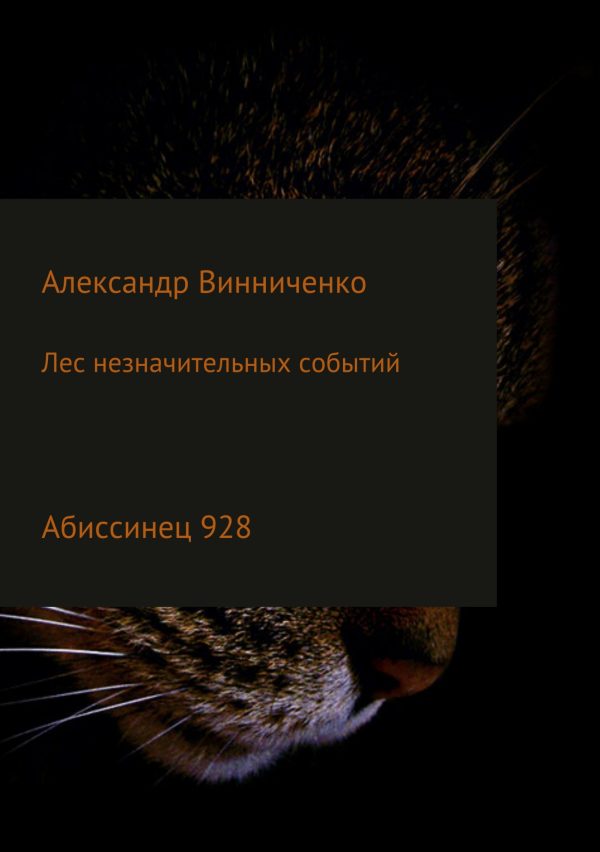 Обложка книги «Абиссинец 928»