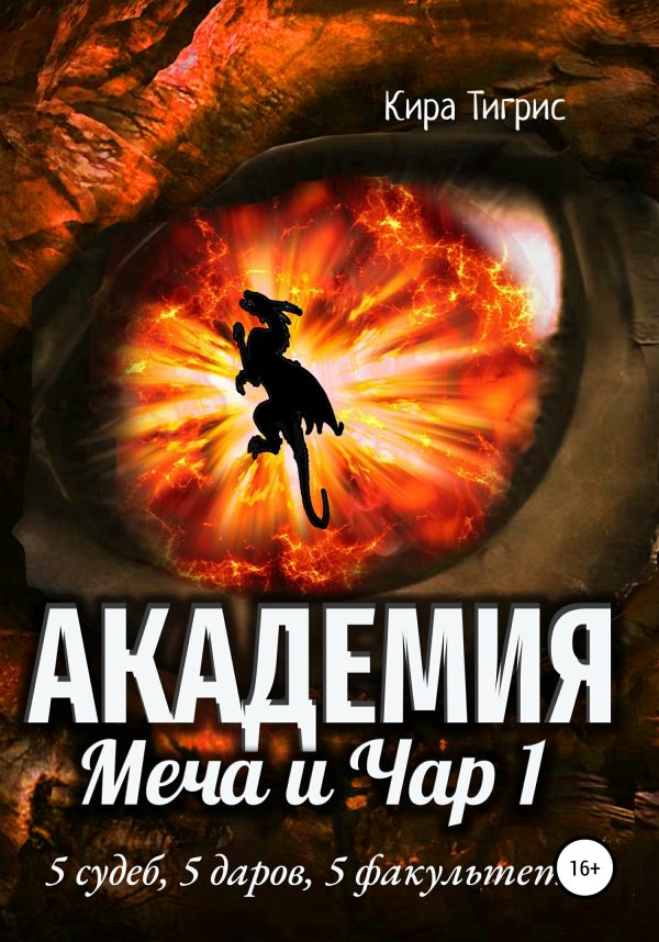 Обложка книги «Академия Меча и Чар 1»