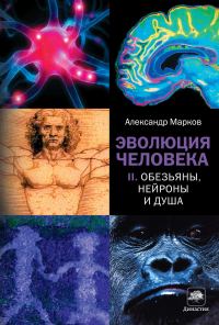 Обложка книги «Эволюция человека. Книга II. Обезьяны, нейроны и душа»
