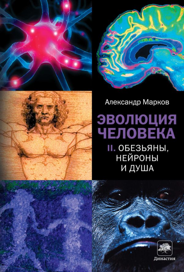 Обложка книги «Эволюция человека. Книга II. Обезьяны, нейроны и душа»