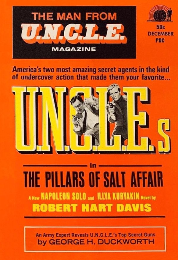 Обложка книги «The Pillars of Salt Affair»