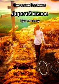 Обложка книги «Дорогой жизни: Путь к свету»
