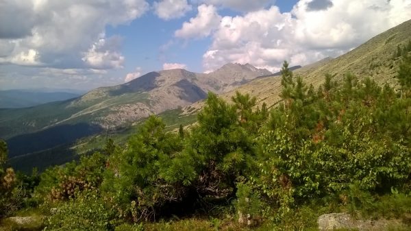 Обложка книги «Я есть. Я дышу. Я живу»
