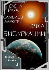 Обложка книги «Точка Бифуркации»