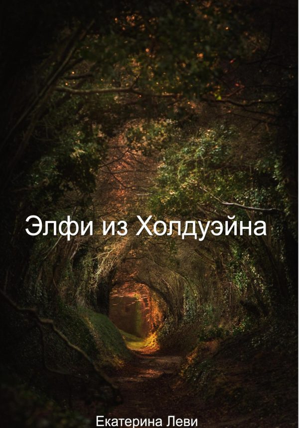 Обложка книги «Элфи из Холдуэйна»