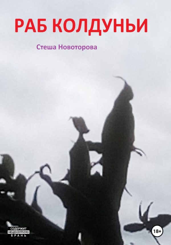 Обложка книги «Раб колдуньи»