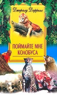 Обложка книги «Поймайте мне колобуса»