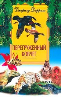 Обложка книги «Перегруженный ковчег»