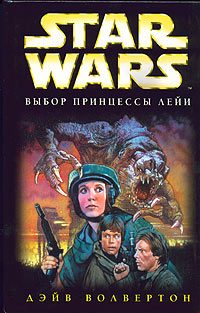 Обложка книги «Выбор принцессы Лейи»