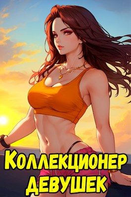 Обложка книги «Коллекционер девушек-оружий»