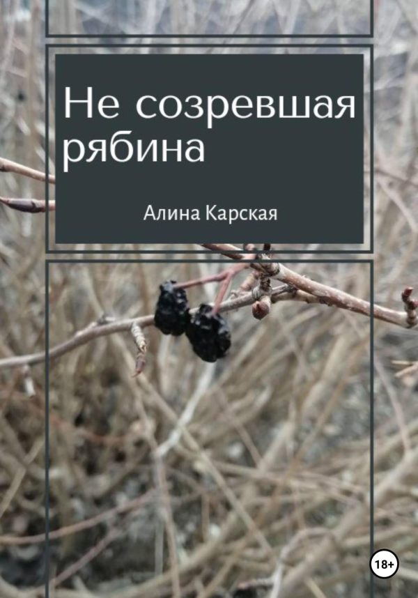 Обложка книги «Не созревшая рябина»