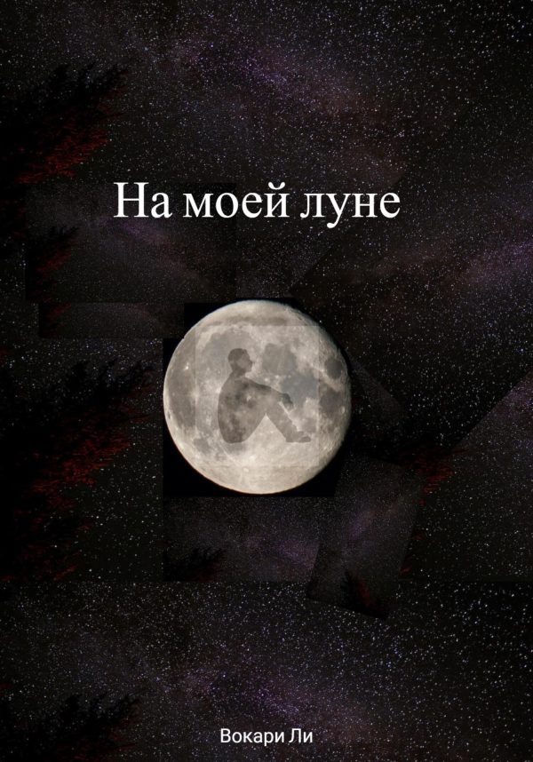 Обложка книги «На моей луне»