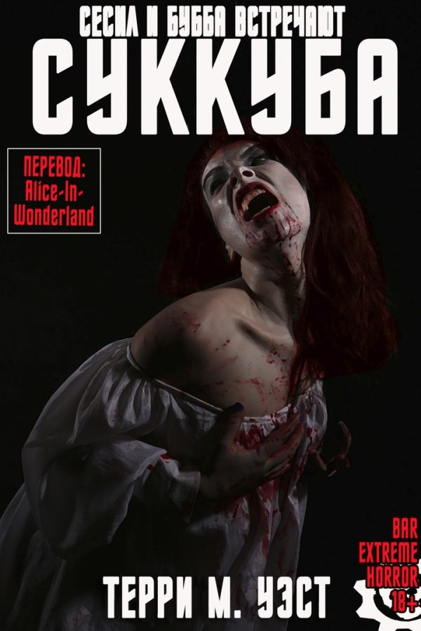 Обложка книги «Сесил и Бубба встречают Суккуба»