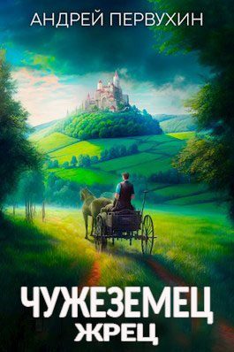 Обложка книги «Жрец»