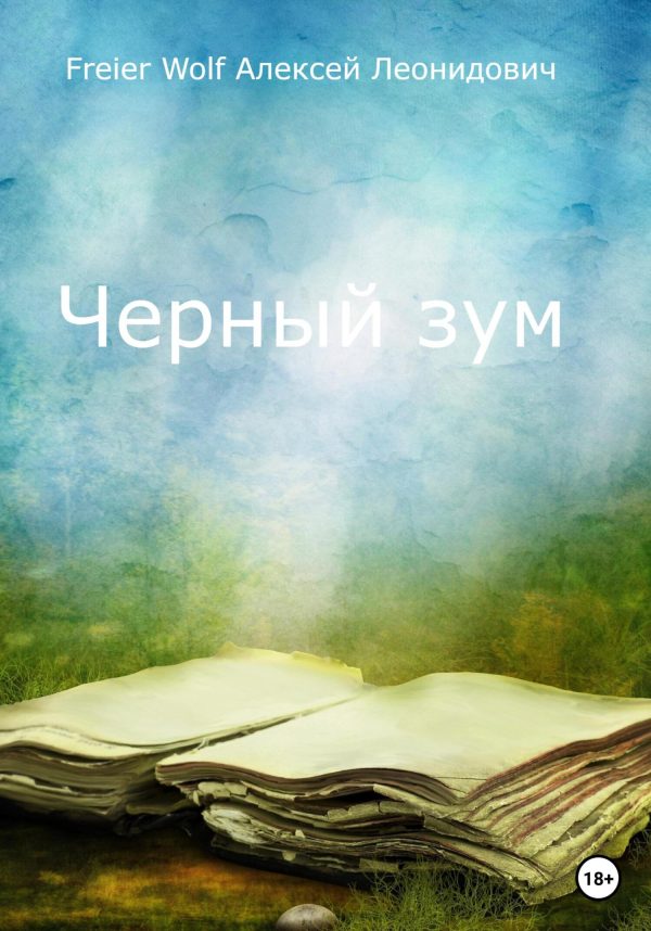 Обложка книги «Черный зум»