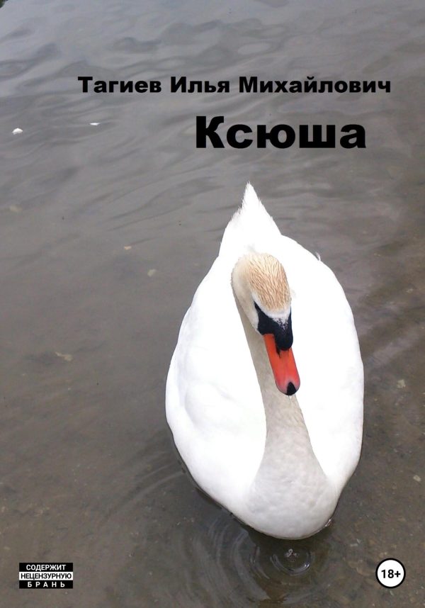 Обложка книги «Ксюша»