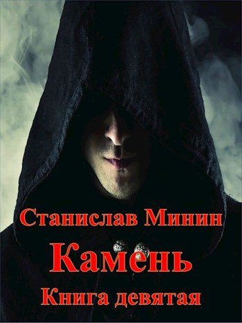 Обложка книги «Камень. Книга 9»
