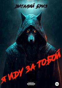 Обложка книги «Я иду за тобой»