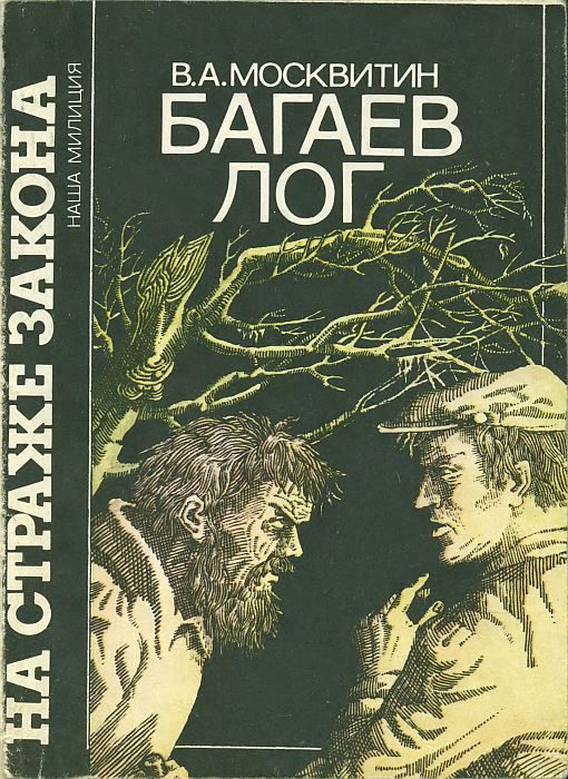 Обложка книги «Багаев лог»