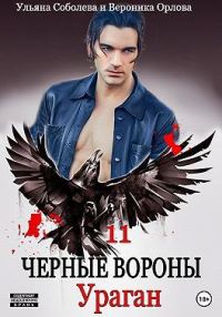 Обложка книги «Ураган»