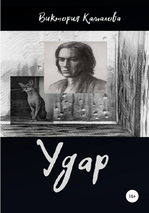 Обложка книги «Удар»