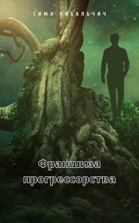Обложка книги «Франшиза прогрессорства»