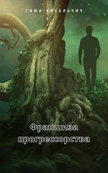Обложка книги «Франшиза прогрессорства»
