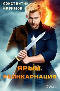 Обложка книги «Ярый. Реинкарнация»
