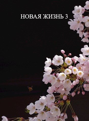 Обложка книги «Новая жизнь 3»