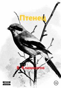 Обложка книги «Птенец»