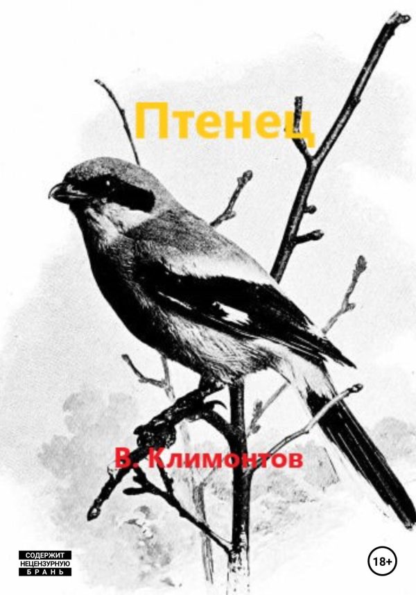 Обложка книги «Птенец»