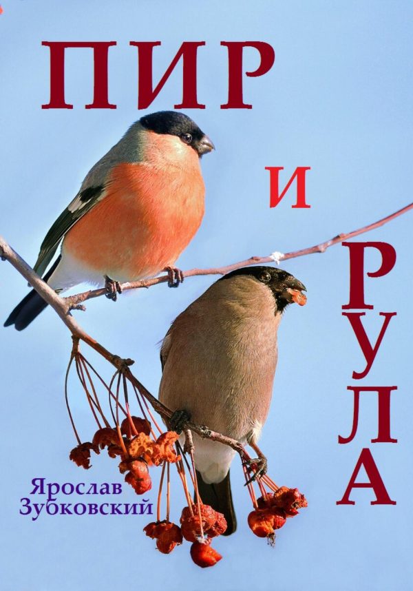 Обложка книги «Пир и Рула»