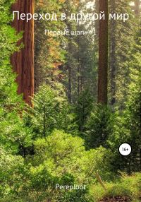 Обложка книги «Переход в другой мир. Первые шаги #1»