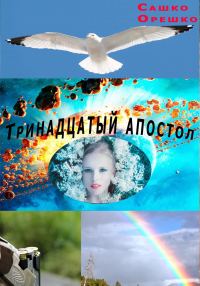 Обложка книги «Тринадцатый апостол»