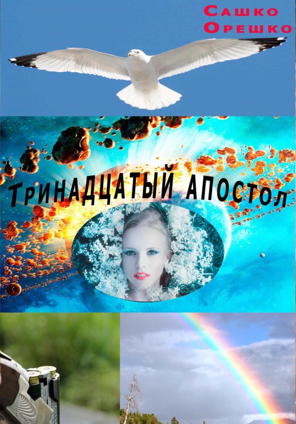 Обложка книги «Тринадцатый апостол»