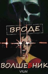 Обложка книги «Вроде волшебник»