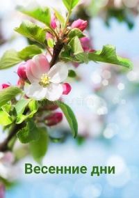 Обложка книги «Весенние дни»