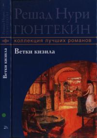 Обложка книги «Ветки кизила»