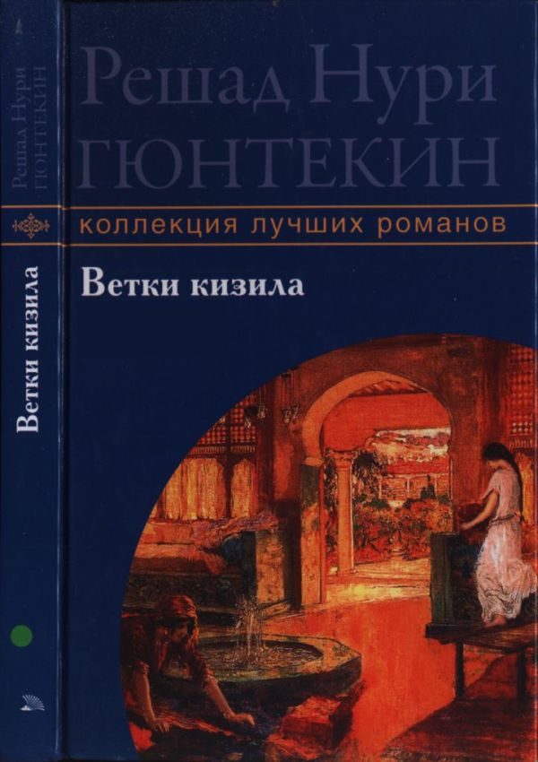 Обложка книги «Ветки кизила»