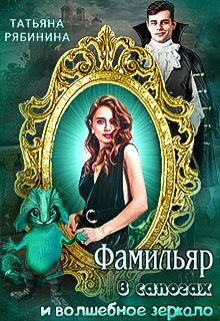 Обложка книги «Фамильяр в сапогах и волшебное зеркало»