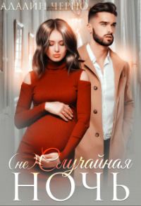 Обложка книги «(не) Случайная ночь»