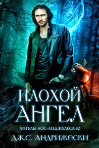 Обложка книги «Плохой Ангел»