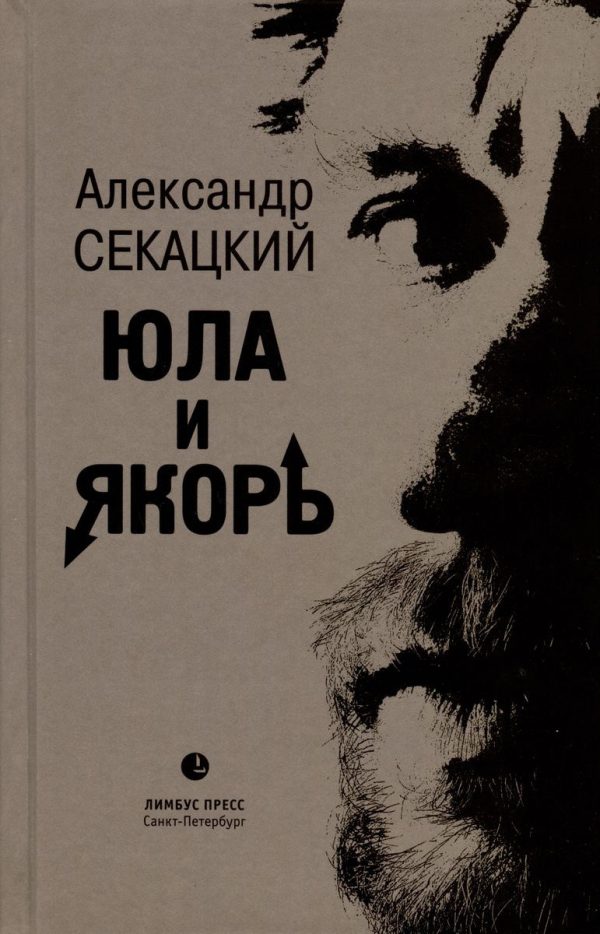 Обложка книги «Юла и якорь. Опыт альтеративной метафизики»