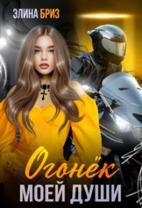 Обложка книги «Огонек моей души»