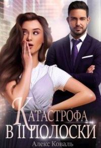 Обложка книги «Катастрофа в две полоски»