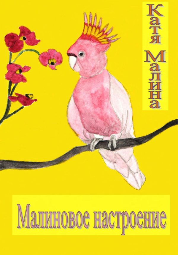 Обложка книги «Малиновое настроение»