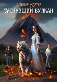 Обложка книги «Уснувший вулкан»